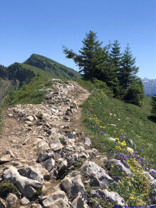KAC Gaissau Kräuterwanderung 2019 06 29 12 42 31  4701